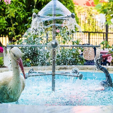 Elena Apartments คานาลี ภายนอก รูปภาพ